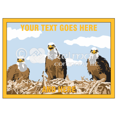 k2210-three-bald-eagle-nest