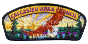 143693-CSP-Calcasieu-Area-Council-Louisiana