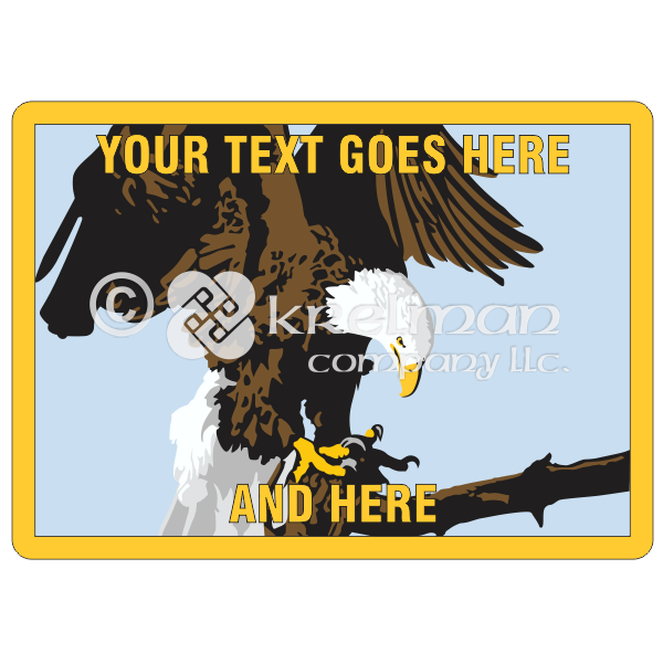 K108-Bald-Eagle-On-Branch