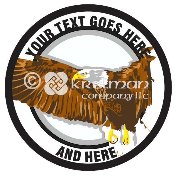 k1413-Eagle-In-Flight