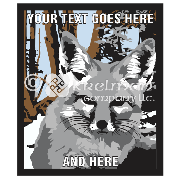 k1902-Grey-Fox