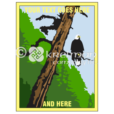 k2101-Bald-Eagle-On-Tree