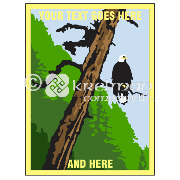 k2101-Bald-Eagle-On-Tree
