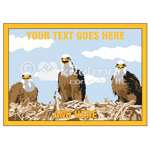 k2210-three-bald-eagle-nest
